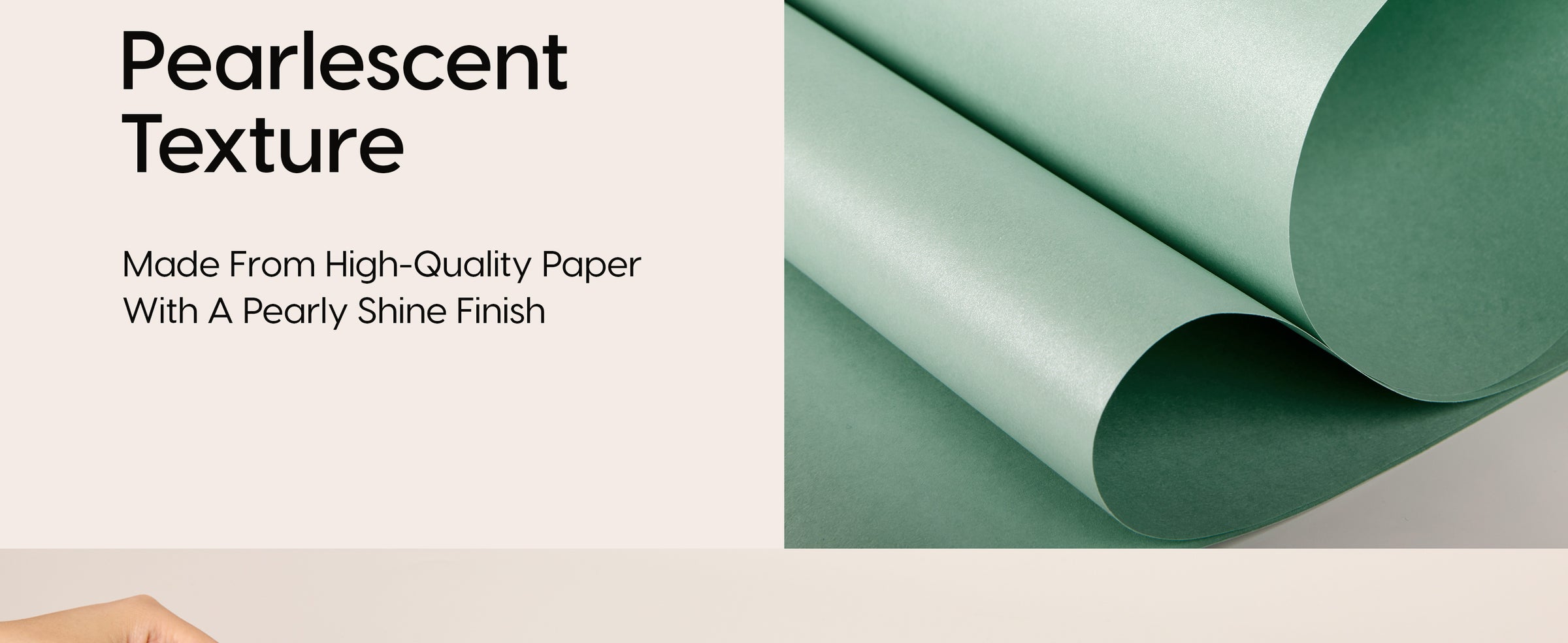 Close-up of curled sage-green wrapping paper with a smooth pearlescent finish.