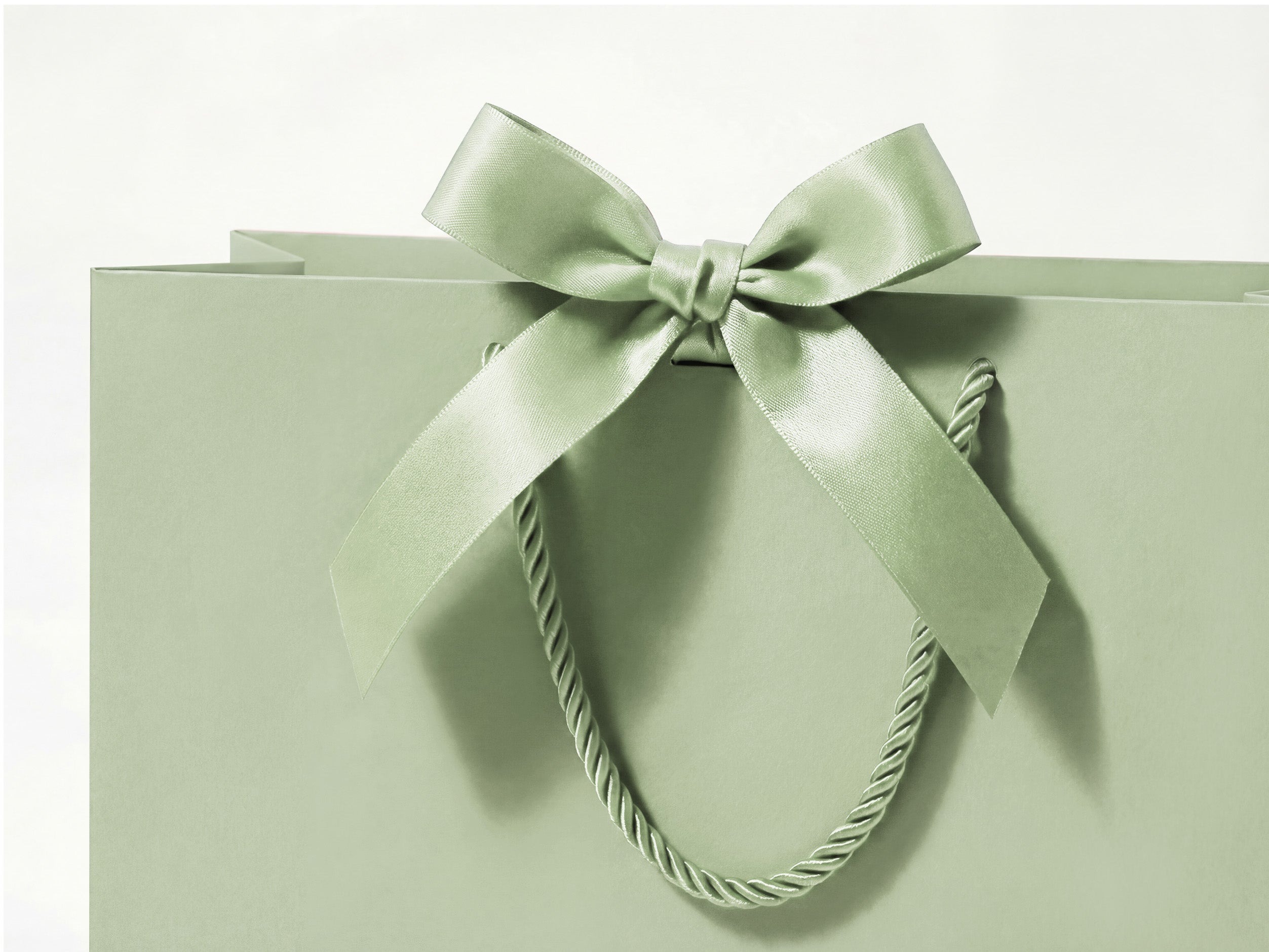 Vitalizart Paper Gift Bags With Ribbon Handles Set of 5 Green Bulk Reusable For Gift Wrap 13