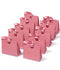 Pink Small Paper Gift Bags with Ribbon Handles — Set of 10
