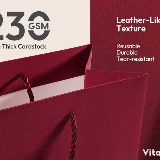 Christmas Gift Bags Large Paper Gift Bags with Ribbon Bows — Set of 4 - Vitalizart