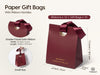 Christmas Gift Bags Small Paper Gift Bags with Ribbon Handles — Set of 10