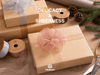 Organza Sheer Ribbons Set 1" x 150 Yd (Mixed Christmas Color) - Vitalizart