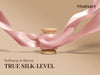 Vitalizart Silken Lustre Ribbon 1" x 15 Yards, Champagne & Nude Silky Satin Ribbon with Subtle Sheen ( Light Pink)