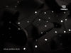 Polka Dot Chiffon Ribbon 1 - 1/2" x 15 Yd (Black) - Vitalizart