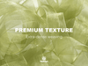 Organza Sheer Ribbon 1“ x 30 Yd (Green & Cream) - Vitalizart