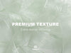 ORGANZA SHEER RIBBON 1“ X 30 YD(Cream White & Green) - Vitalizart