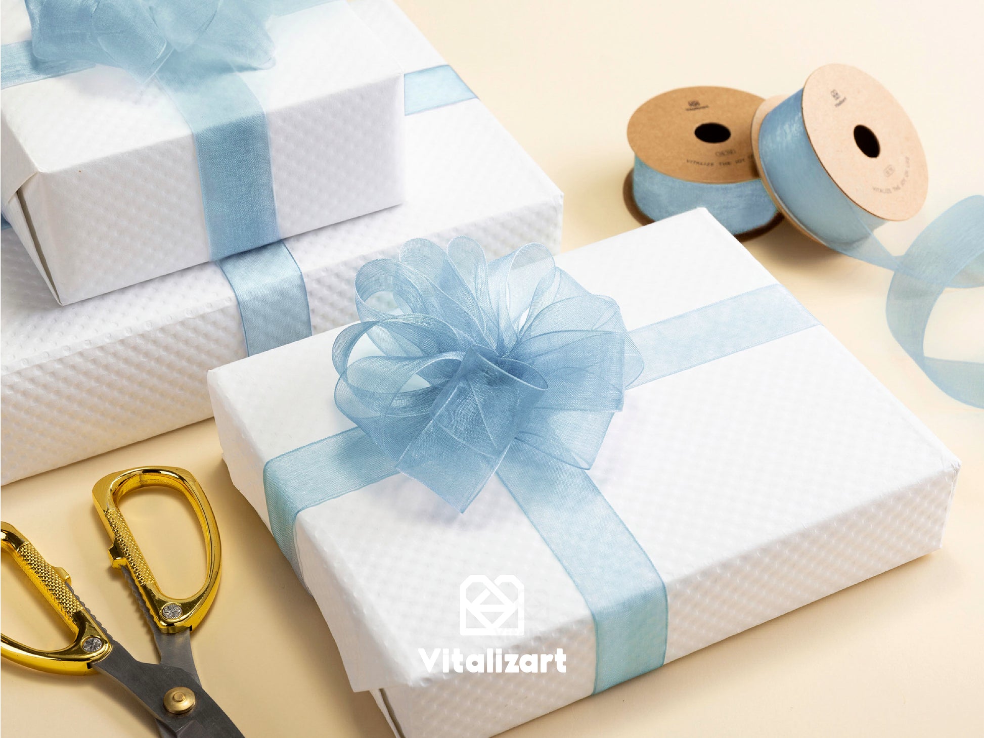 ORGANZA SHEER RIBBON 1“ X 30 YD (BLUE) - Vitalizart