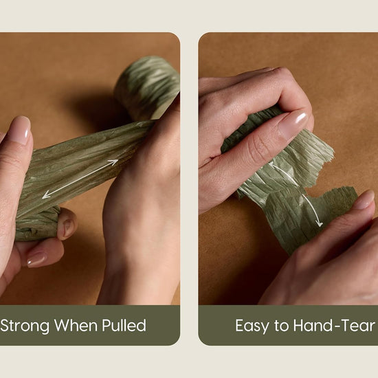 Vitalizart Crinkle Paper Ribbon 1.5" x 75 Yards, Reusable Recyclable Easy Tear (Green Nude & White) - Vitalizart