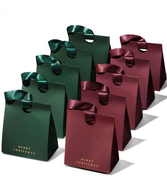 Christmas Gift Bags Small Paper Gift Bags with Ribbon Handles — Set of 10 - Vitalizart