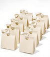 Set of small cream white paper gift bags with ribbon handles