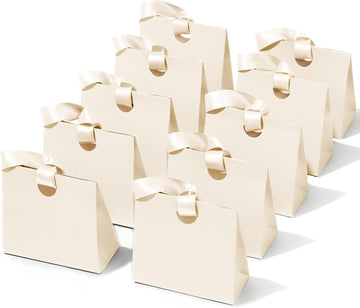 Cream White Mini Paper Gift Bags with Ribbon Handles — Set of 10 - Vitalizart