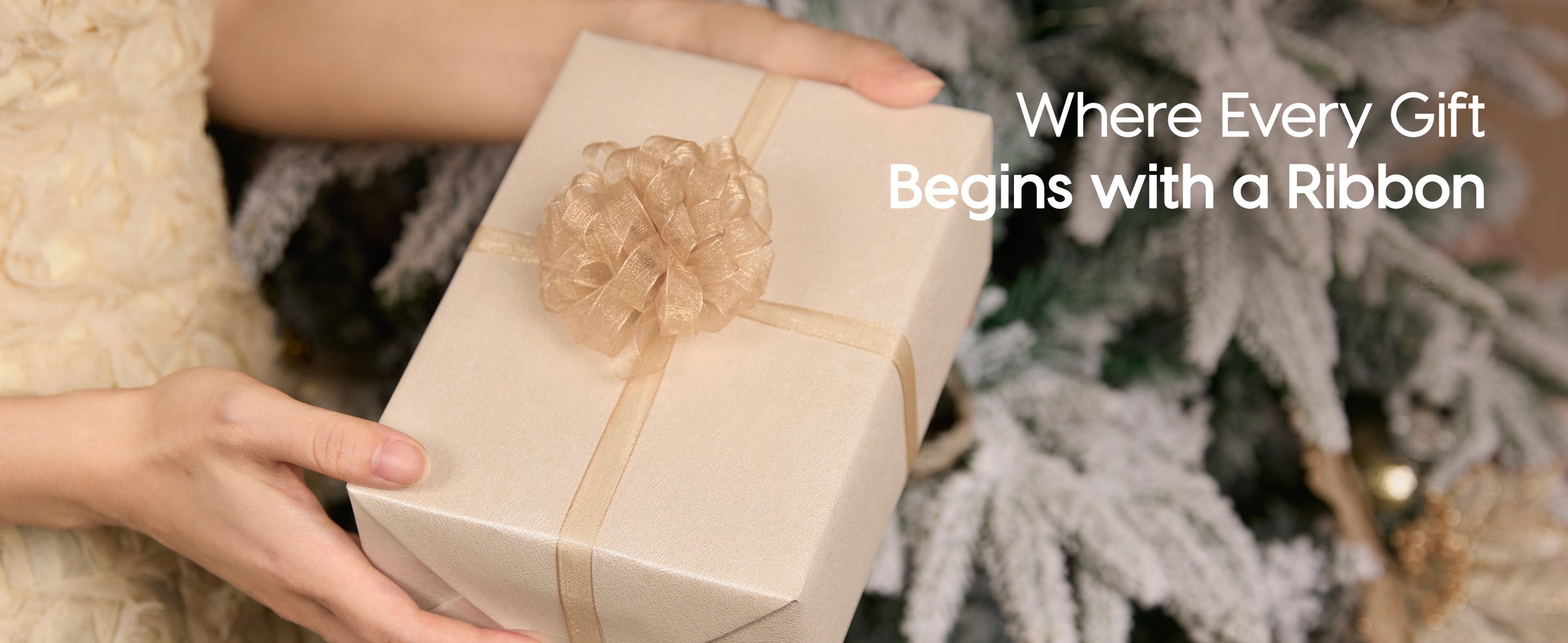 Hands wrapping a gift box with the pastel sheer organza ribbon set beside festive greenery