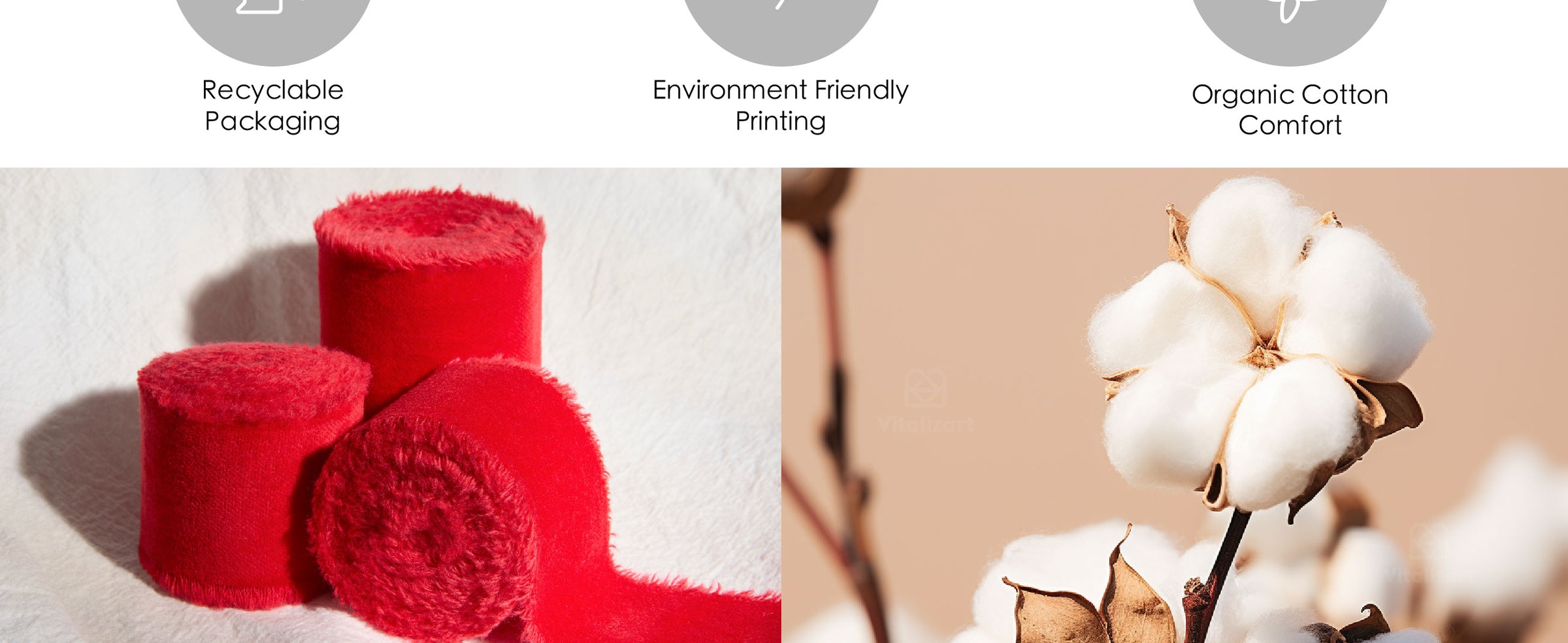 Red velvet ribbon rolls with soft fringed edges displayed beside white cotton bolls