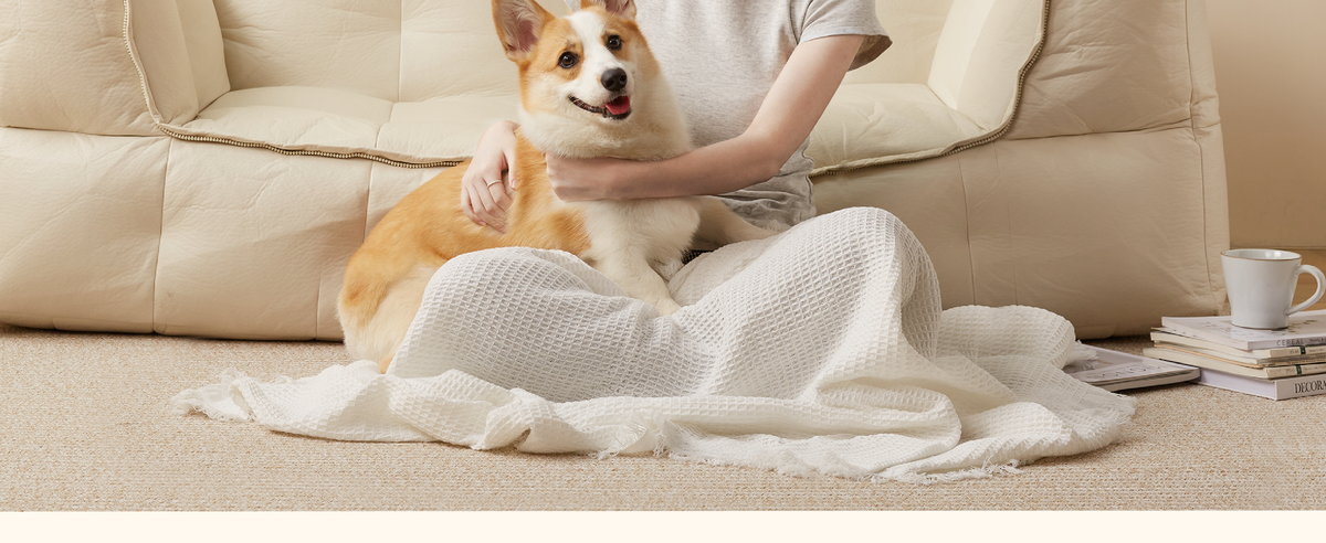 Woman cuddling a corgi while seated under a white fringed waffle throw beside a cream sofa